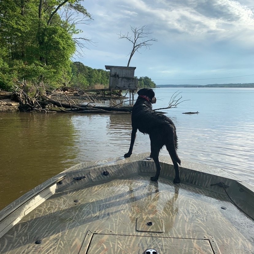 Tracker Boat Center